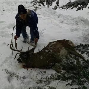 Meet your Posher, Lori